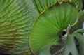 Thailand - Ko Lanta (36)